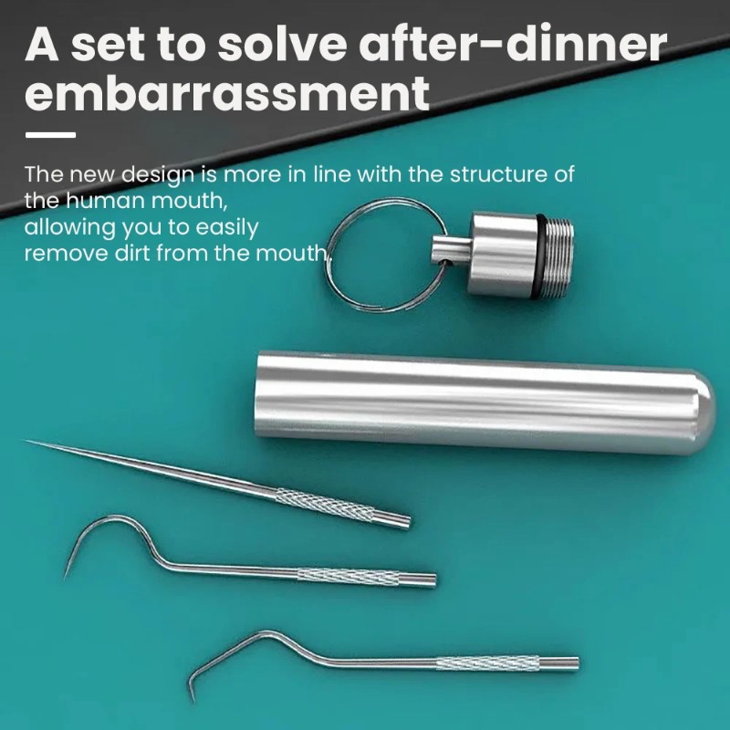 Stainless Steel Toothpick Port - Lock Picking Set review and price