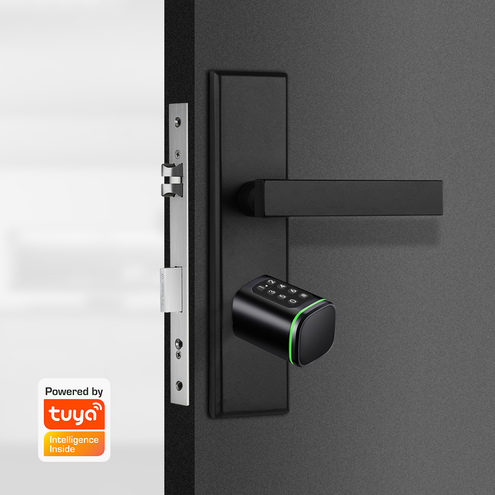 Smart Cylinder Lock Tuya 60-90 - Home Security Tips review and price